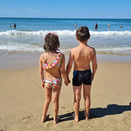 Avec Piscine Parc De